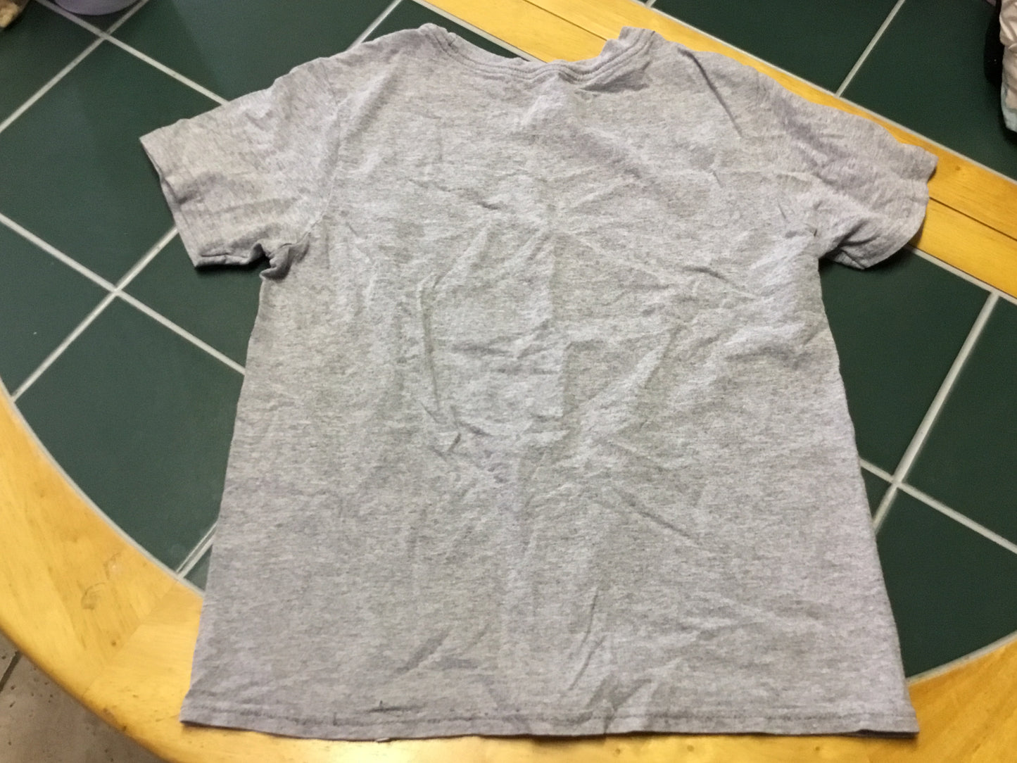 Jurassic Park Dinosaur Design T-shirt
