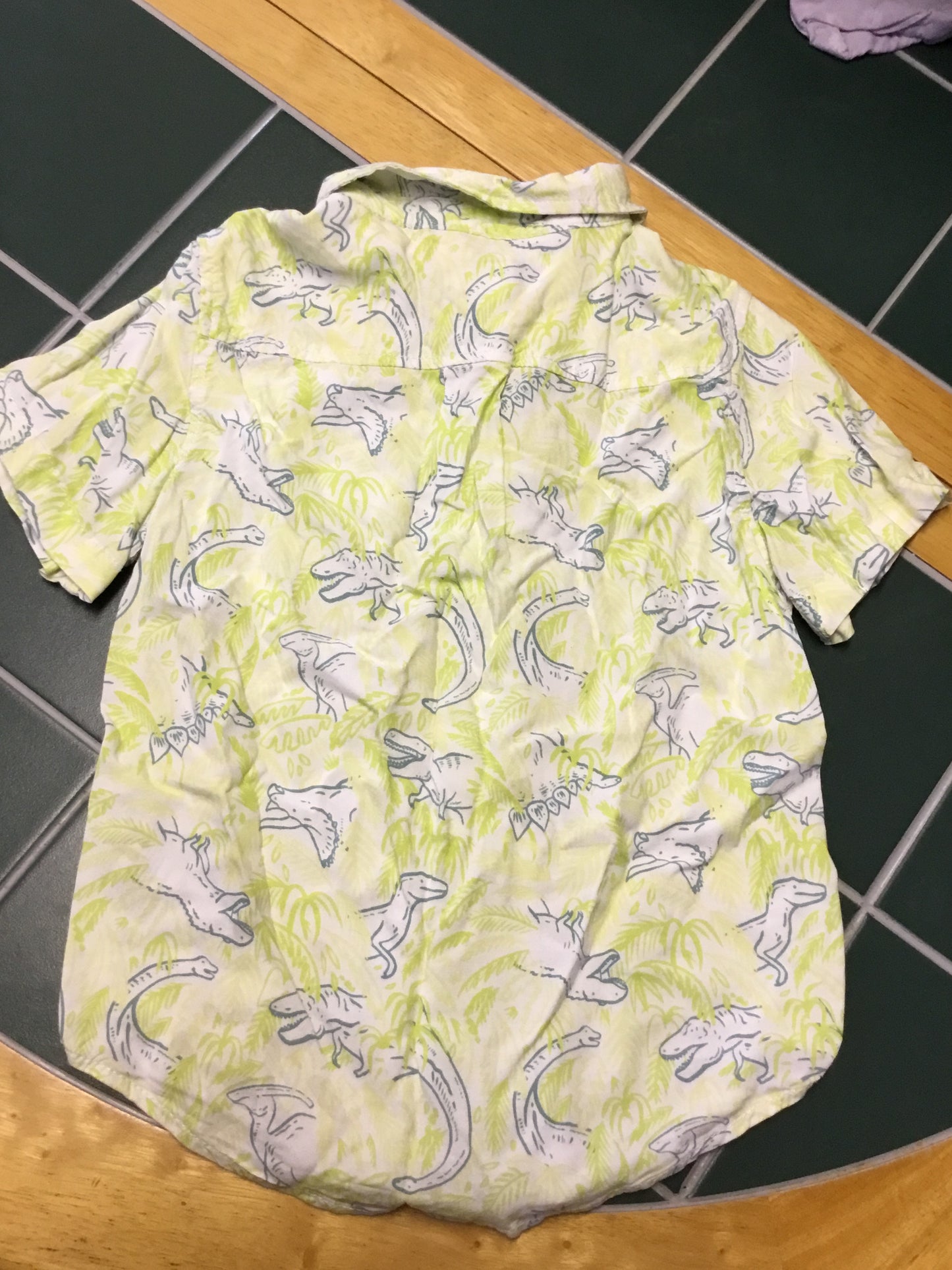 Cat & Jack Button-Down T-Shirt With Dinosaur Designs