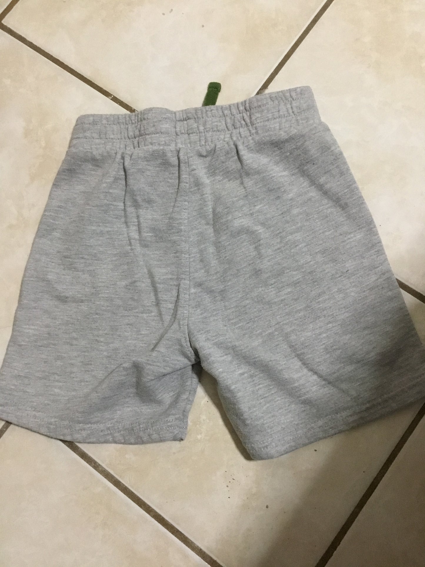 Jurassic World Dinosaur Shorts For Boys