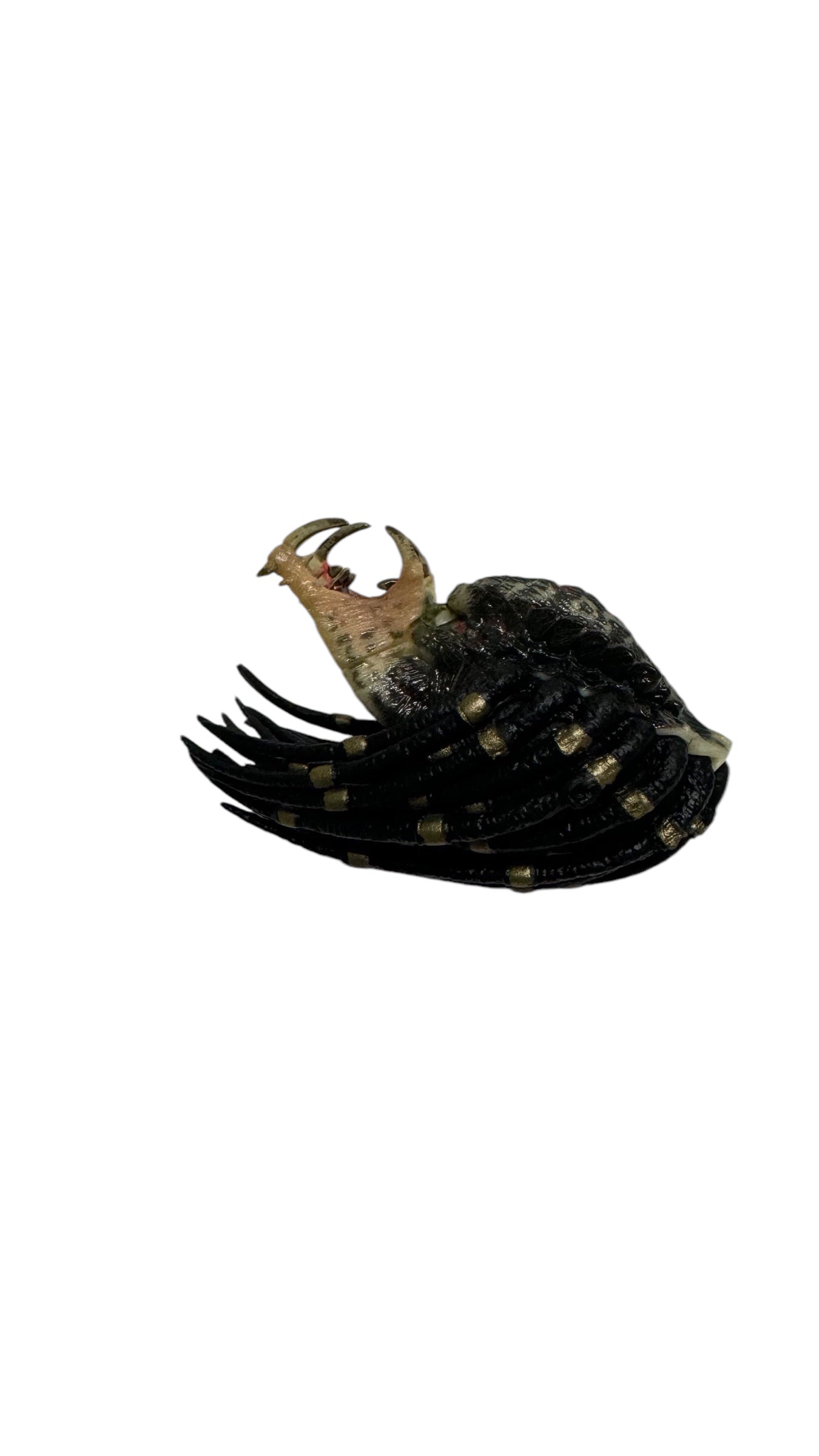 Predator 2 Ultimate Armored Lost Open Mouth