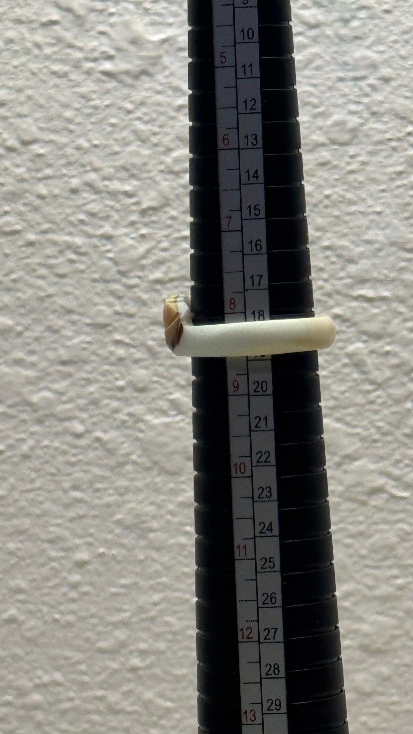 Vintage Hand-Carved Natural Seashell Geometric Flower Band Ring 8 (1/2) inch