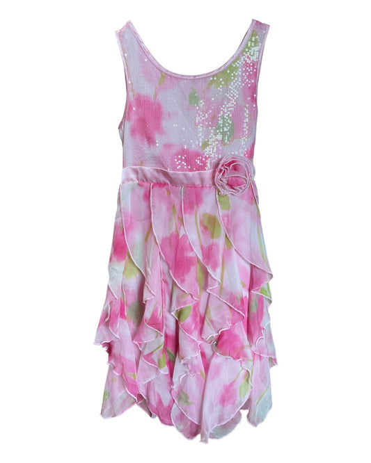 Biscotti Sleeveless Spring Girls Dress Size 10