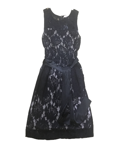 Monteau Lace Dress